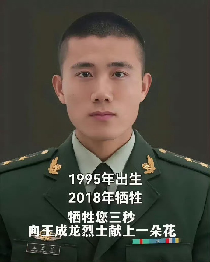 如果刷到，请停下一秒钟 致敬武警特战排长王成龙烈士 危急时刻失控卡车疾驰而来 千