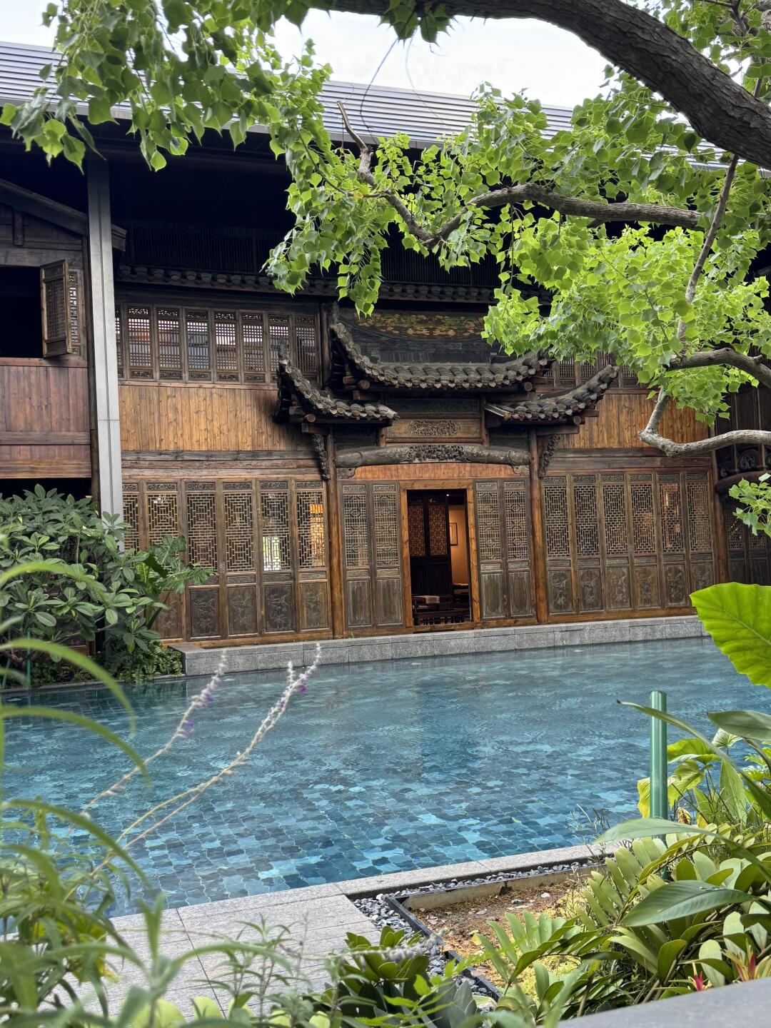 海口！新的拍照打卡地现在还没什么人！附定位