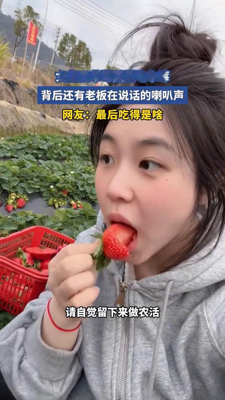 女生去草莓园里吃草莓，背后还有老板在说话的喇叭声。网友：最后吃得是啥？
1月24