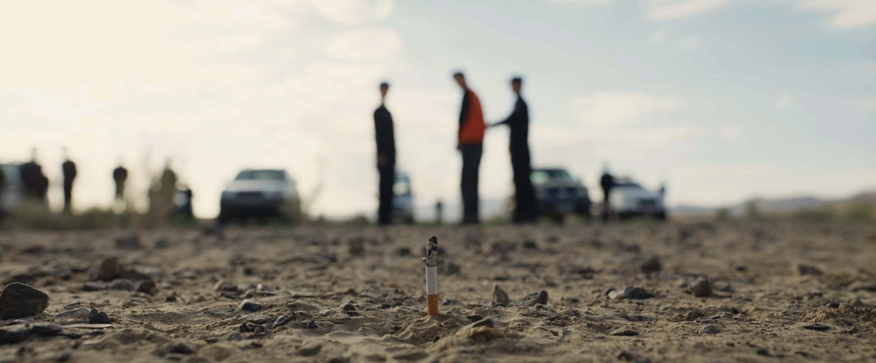 《生命树》，中国最好的“西部片”，上一部是《可可西里》，再上一部是《双旗镇刀客》