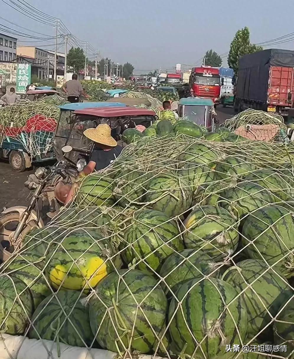 河南滞销西瓜1元1斤在广州卖爆了，为何今年西瓜产地难卖？

广州街头的西瓜车前排