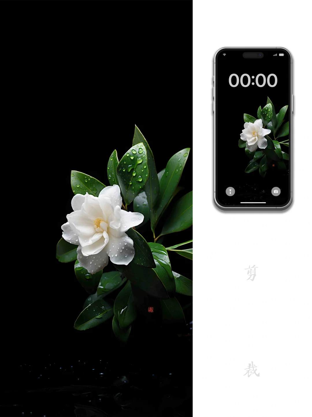 6寸屏壁纸｜花开素影栀子雨  夜静风微动暗香