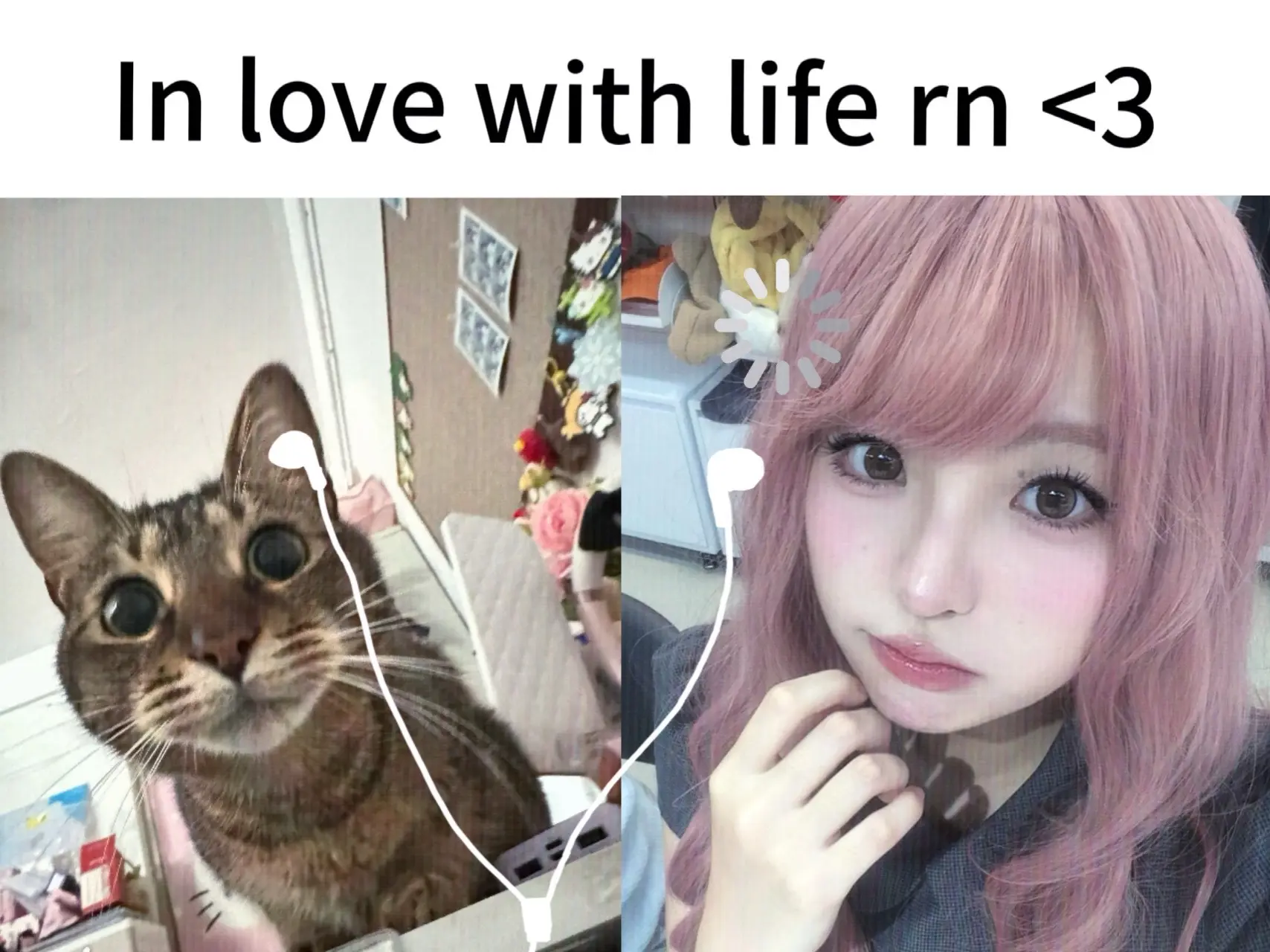 ₊⁺♡̶₊⁺⑉🎀🐈🎧。pop pop pop pop Flips...