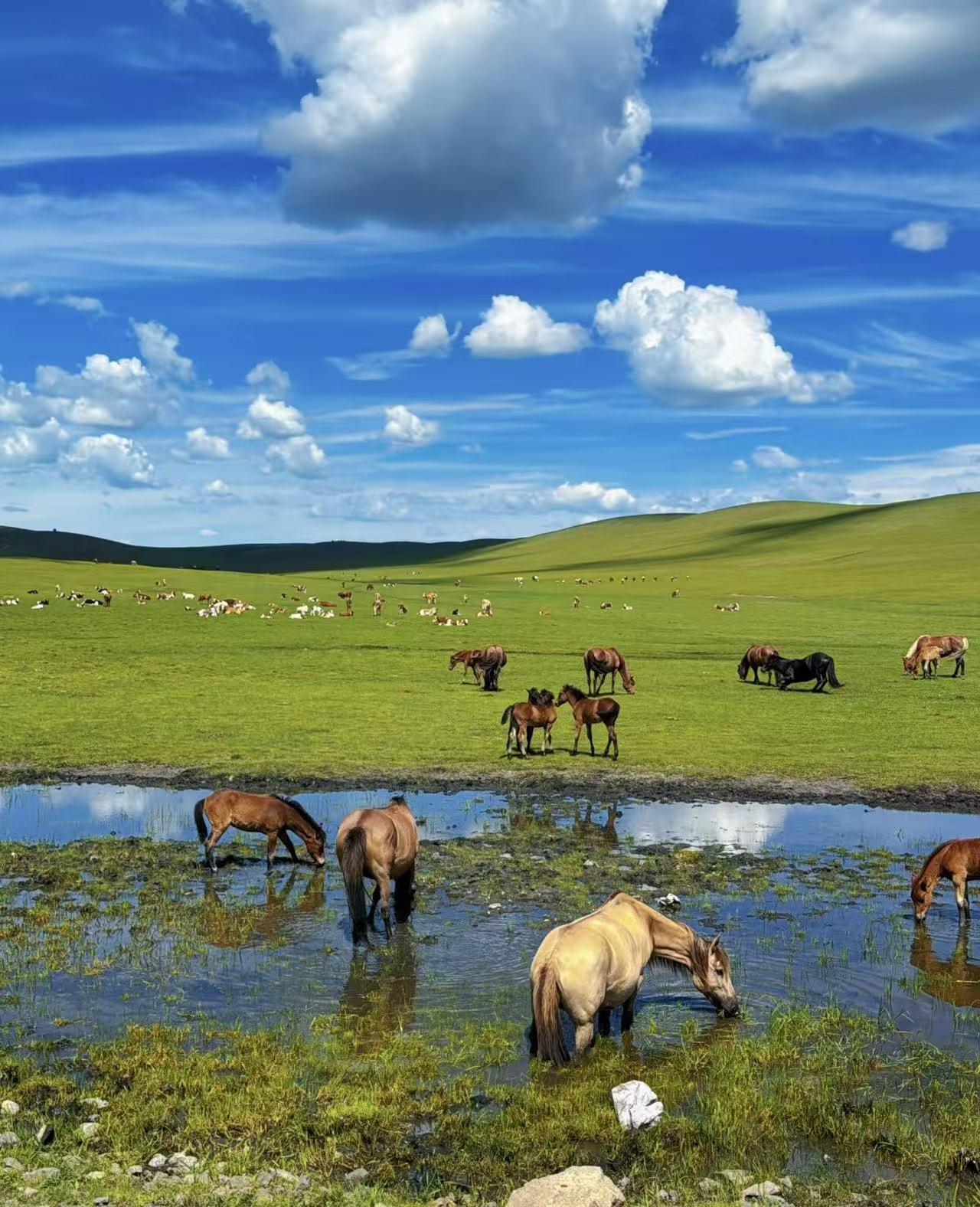 城市：柏林联合----拜仁
温度：11 12
城市：汉堡----基尔
温度：10