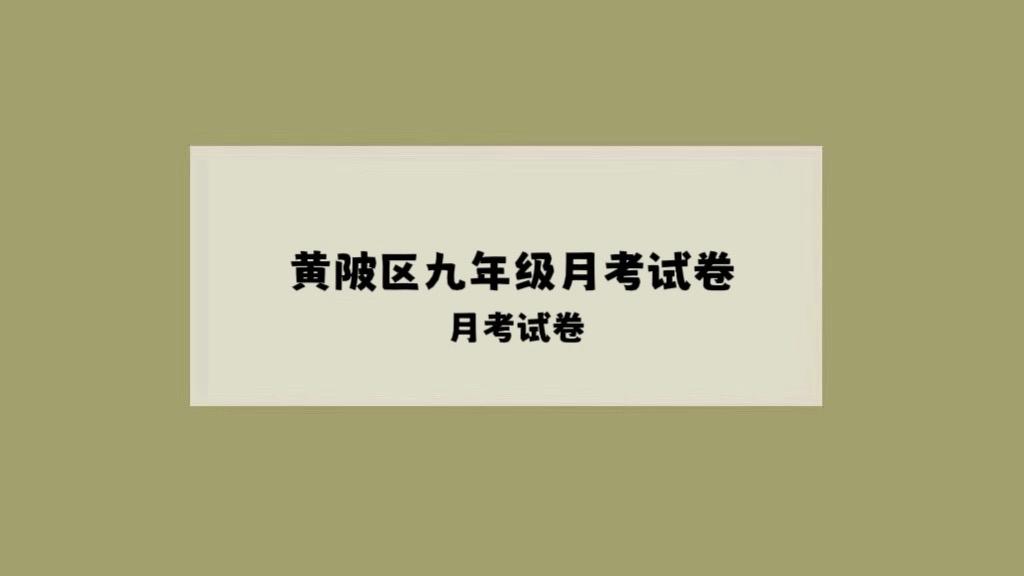 黄陂区12月九年级数学月考试卷。