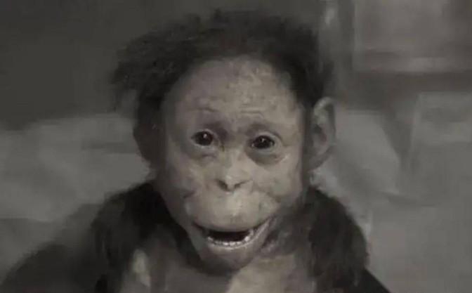 1912年，沈阳药店老板王丙兆去闹市看杂耍表演。戏班里的猴子正表演各种人类技能，