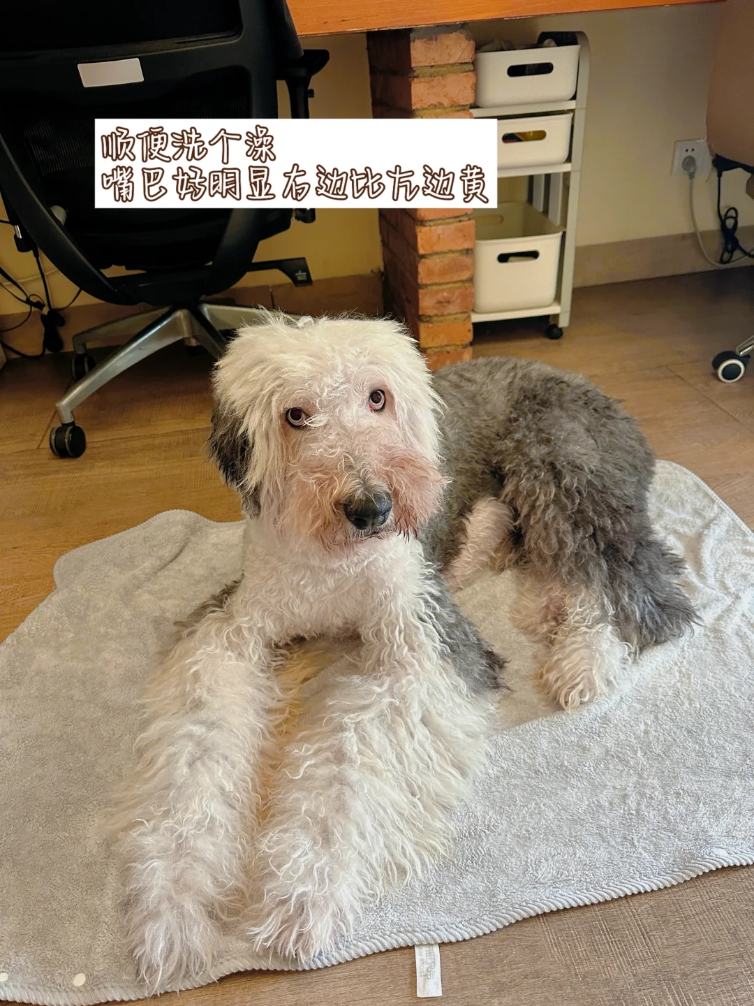 古牧翻新，准备出发为期12天甘南之行啦～