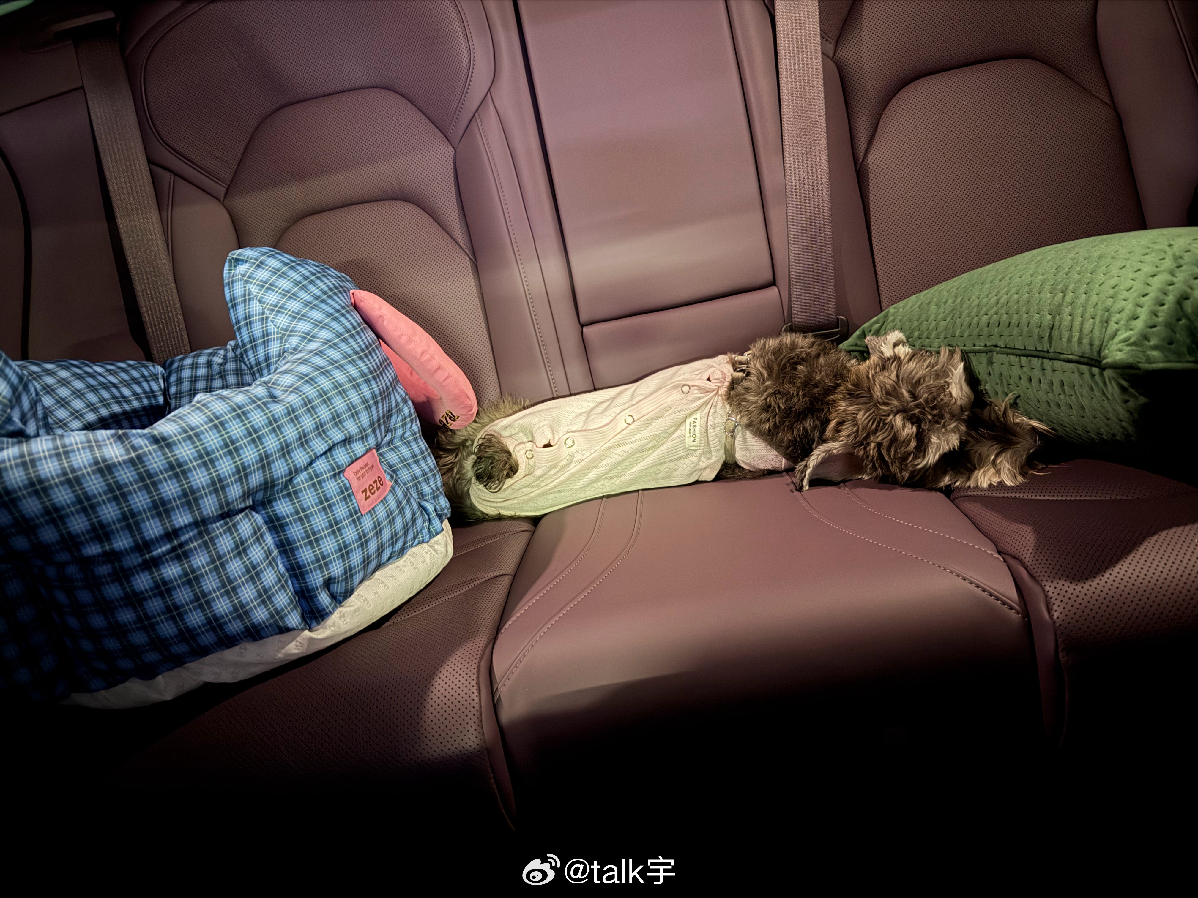 潘子的NLS2开始了带86一起看，精彩的比赛孩子看的太入神了F1