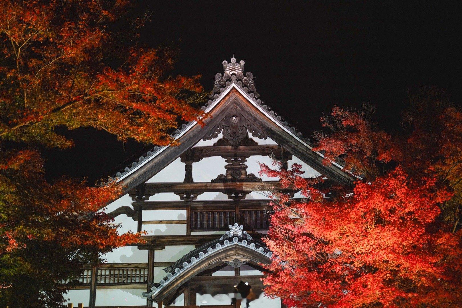 来京都赏枫，一定要看一场夜枫。所谓夜枫就是在夜晚观赏枫叶。通过灯光照射等方式，欣