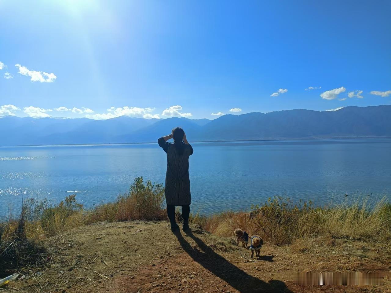 当一个人不再联系后，你反复猜疑的真相，或许就是答案

朋友突然不联系了，我总在半