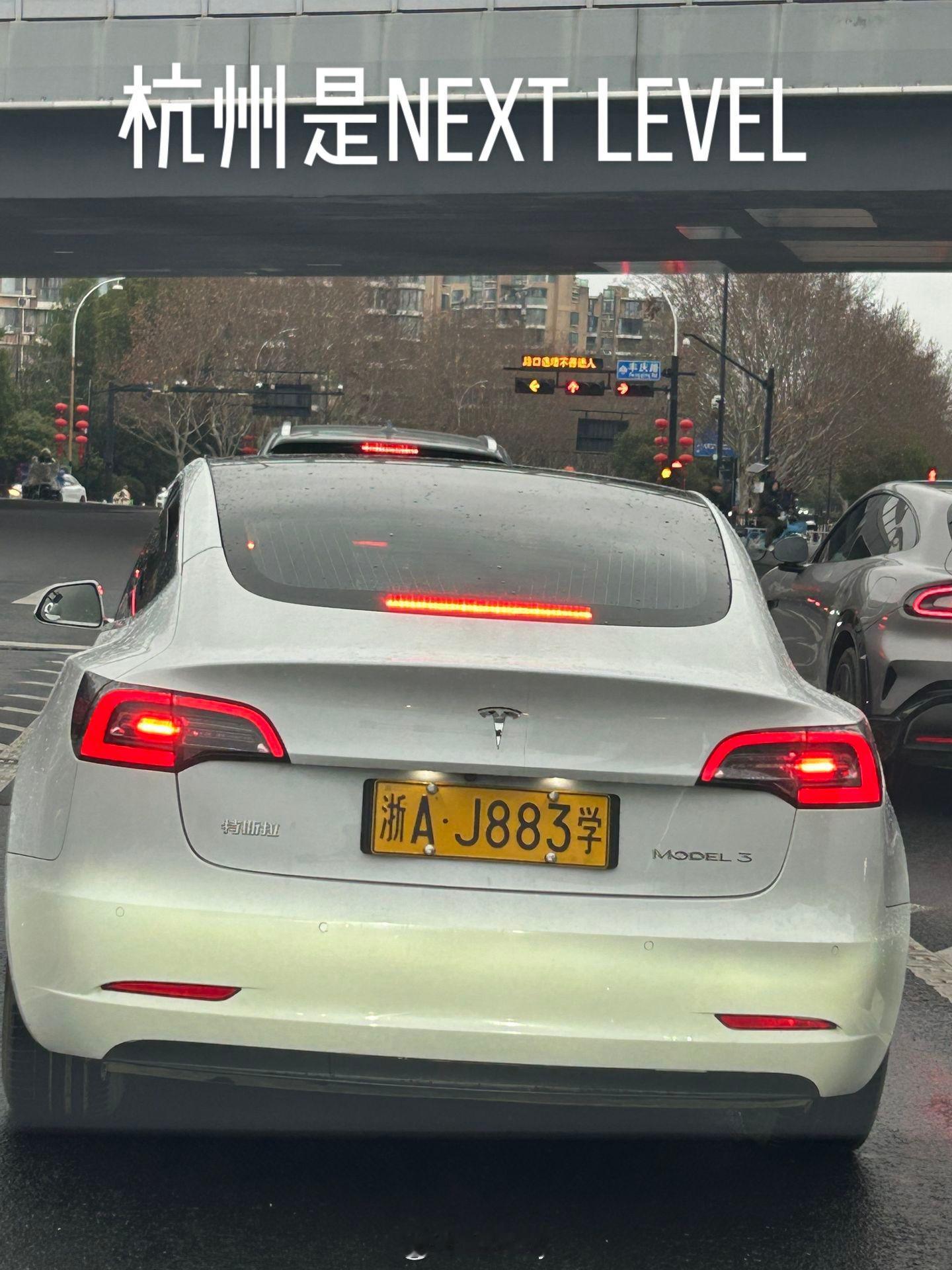 特斯拉挂黄牌有没有比挂绿牌顺眼一点？Model3特斯拉