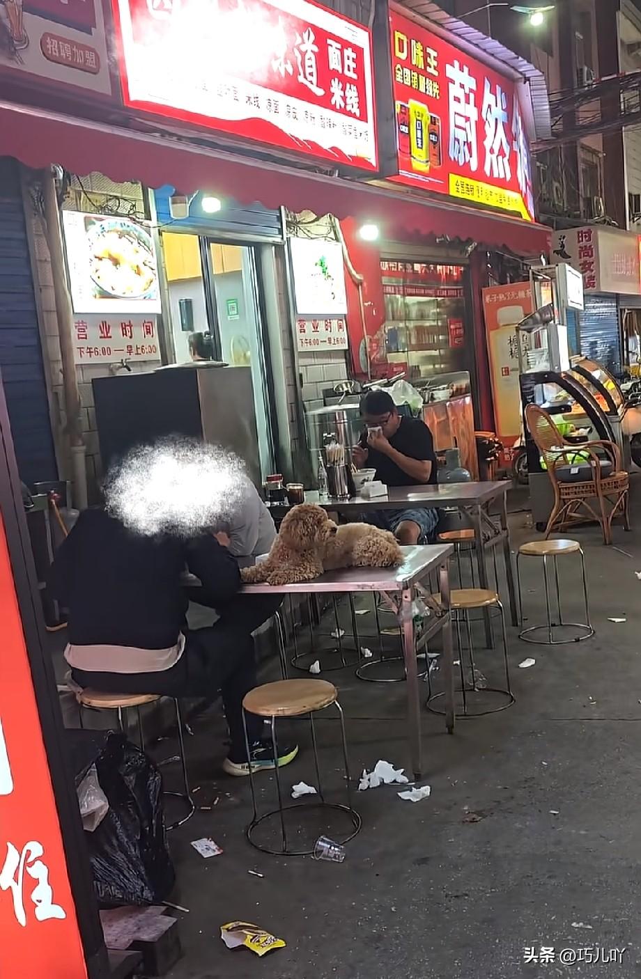 一男一女在路边大排档吃饭，却堂而皇之的把宠物狗抱上了餐桌，当活祖宗一样供着！
