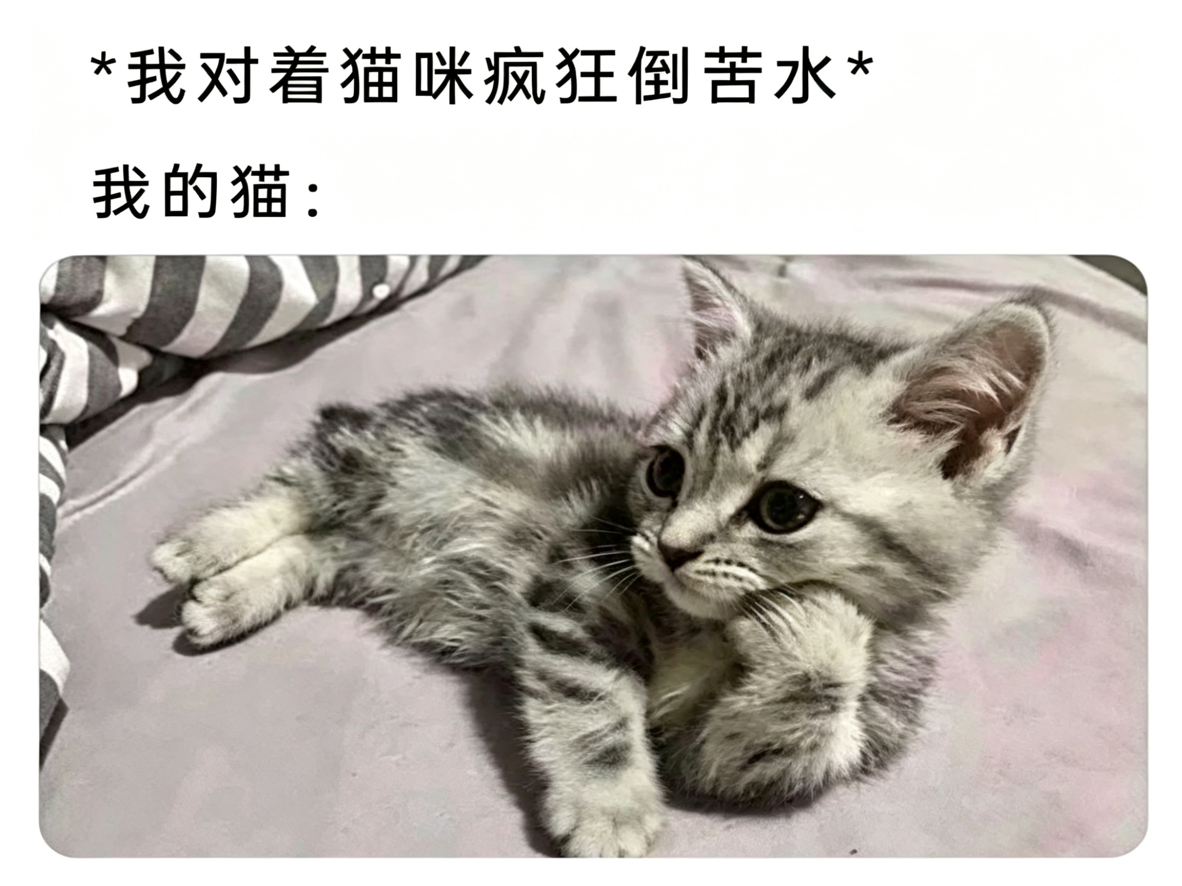 你说～我就听听👂 