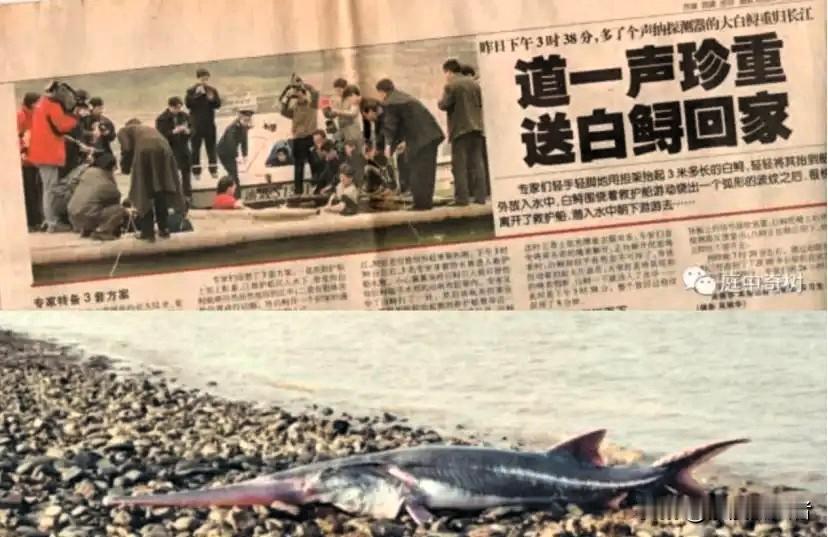 2003年1月24日上午，渔民刘云华和妻子正在长江上打渔。突然，他的船剧烈地摇晃