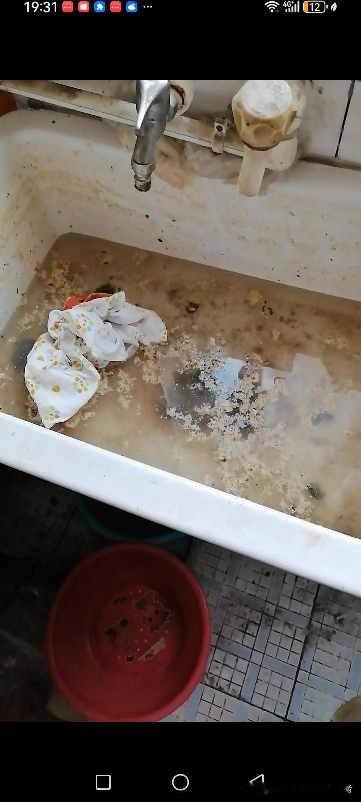 说一个社会残酷现象有钱确实雷厉风行，我母亲家下水管道昨天堵塞了，污水流了厨房客厅