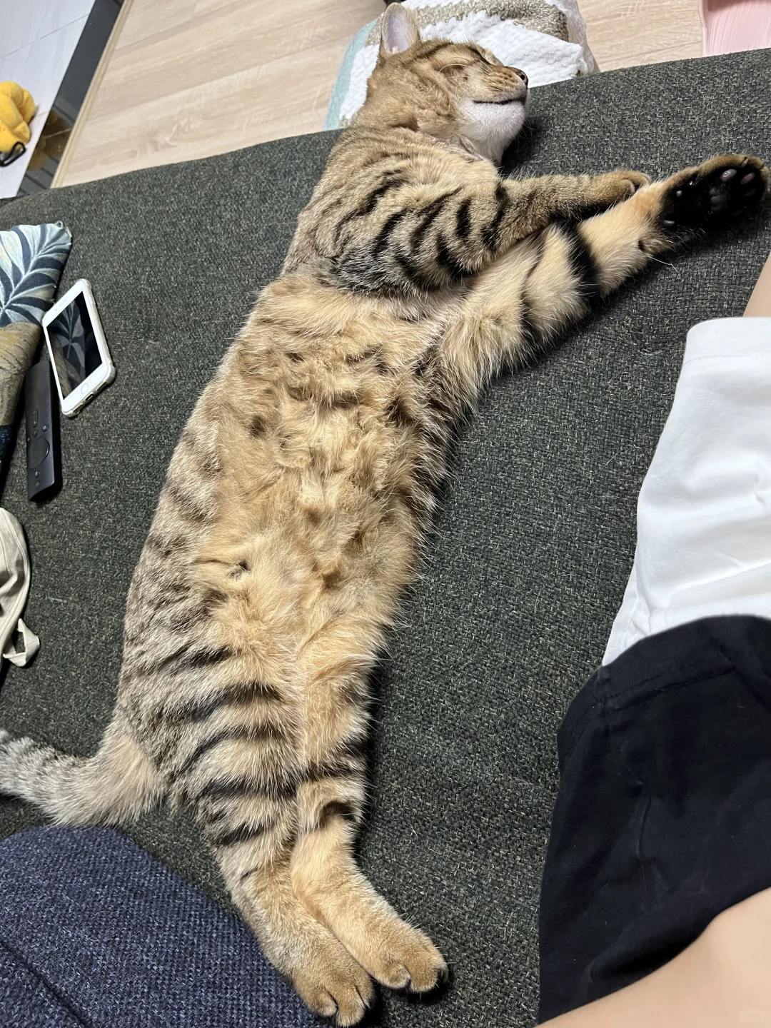 左滑看我犁地