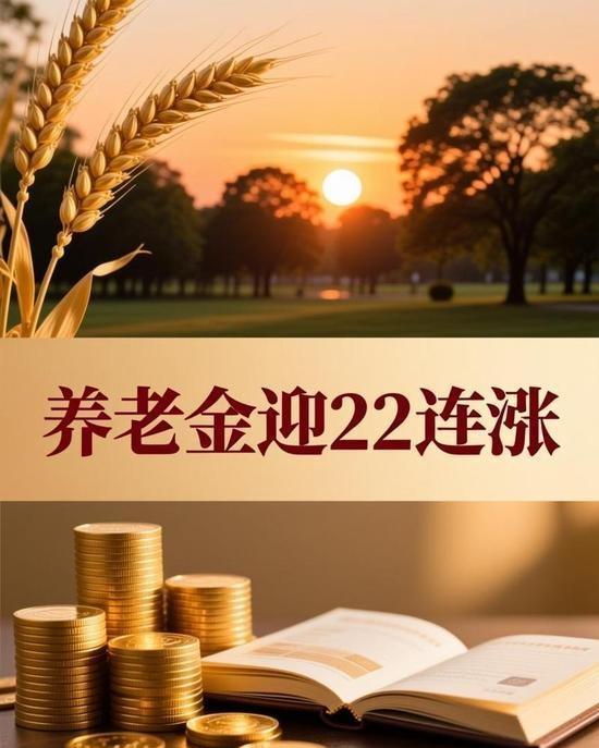 养老金上涨吗？退休人员养老金的上涨应该是继续上涨，但有可能因为优先解决中人的复杂