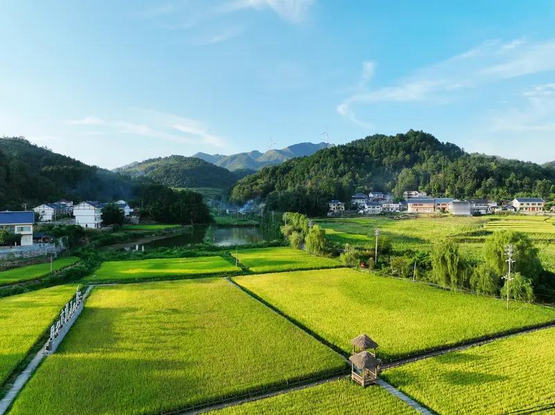 现在好多人想回农村建房，原因可不少。
城市生活成本高得离谱，房价贵，生活用品也不