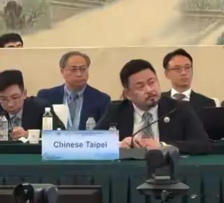 洪申翰在南京APEC会议上的那张照片，正在台湾网络平台疯传。桌牌上清清楚楚写着“
