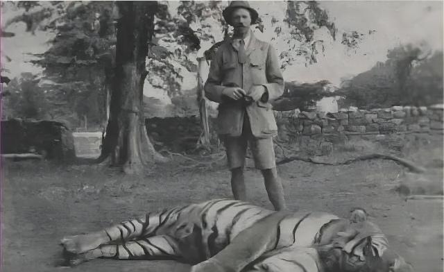 1905年，在印度有人击毙了一头吃人老虎，然而，当大家检查老虎尸体时却发现了一个