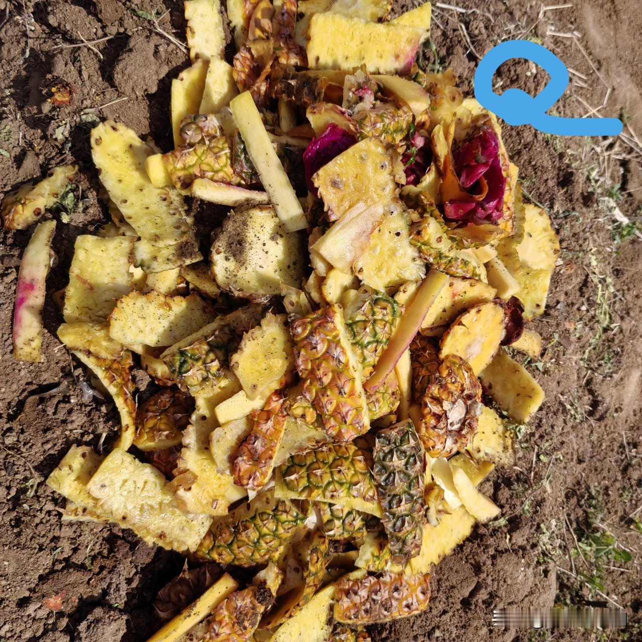 堆肥开始变臭意味着什么?
意味着发酵失败。当然，用动物大便堆肥除外，因为动物大便