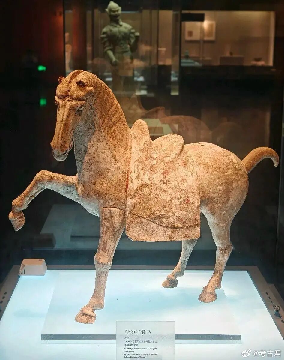 2026年最会躺平的马马“倒”成功 这两天看到一个让人心疼的消息：河南洛阳博物馆