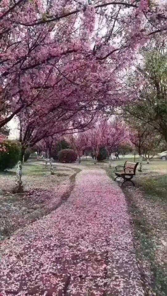 上联：暮春桃花雨，
下联：中秋桂花糕。