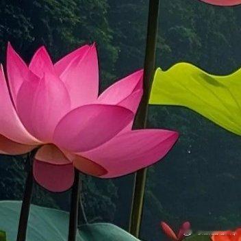 仍有许多艰苦的时刻，也许比过去更多，多数时候都在咬牙坚持、默默等待。幸而我喜欢这