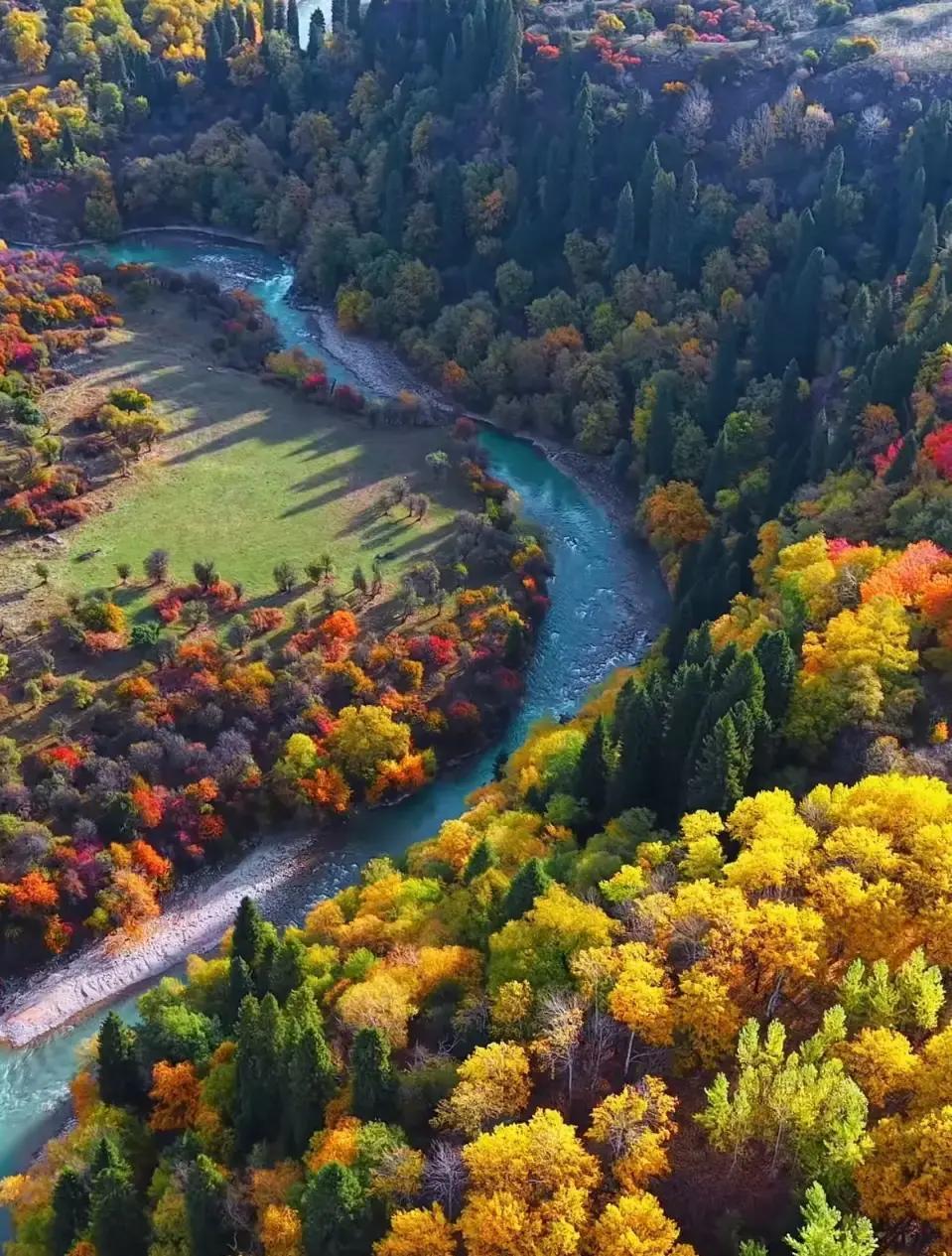 “不想伤害你的家庭”，这大概是婚外情里最虚伪的一块遮羞布了
有个傻女人跑来问前程