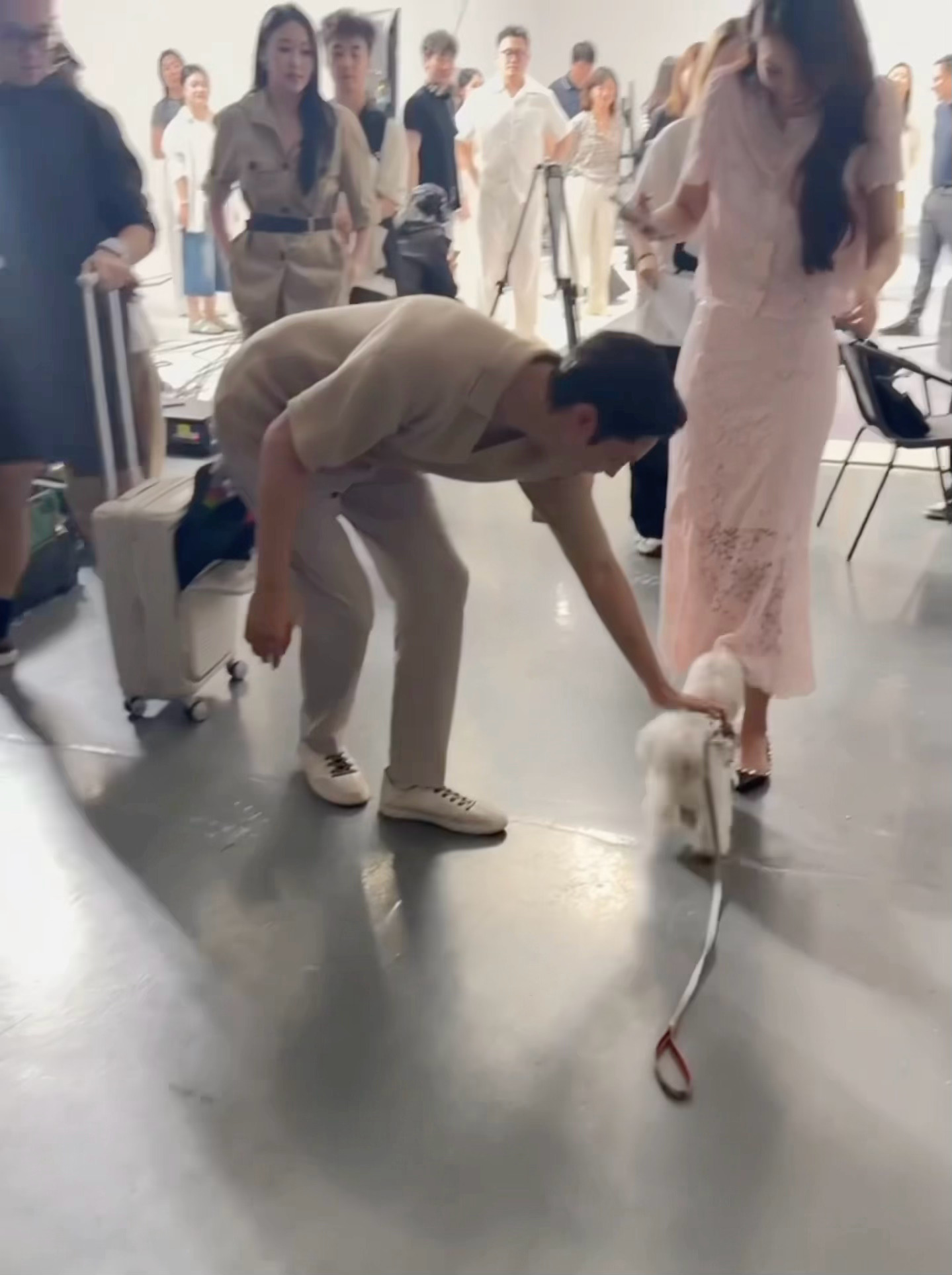 陈伟霆新秀丽品牌代言人陈伟霆 一看到毛孩子就两眼放光的嘤嘤怪陈伟霆来源xhs 9
