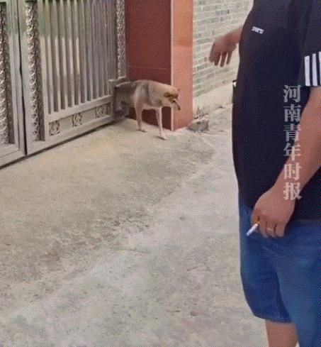 江苏，一老人养了十年的老狗，因最近老人去世了无人喂养，这邻居可怜狗子，便暖心的叫