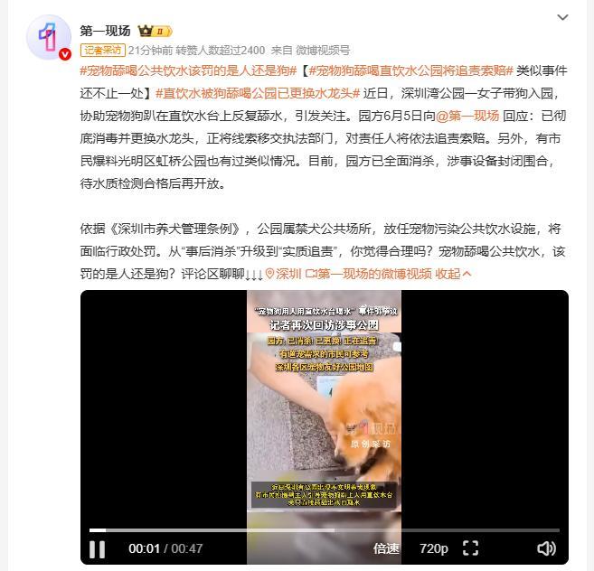 宠物狗舔喝直饮水公园将追责索赔 深圳湾公园一女子带狗入园，协助宠物狗趴在直饮水台