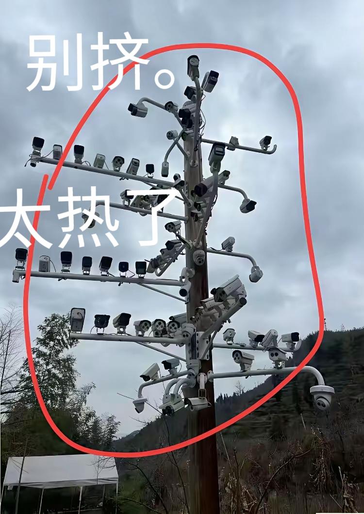 以为树上站喜雀
原来全是摄像头
坏人见了心发愁
重置浪费何时休

以前重庆一根杆