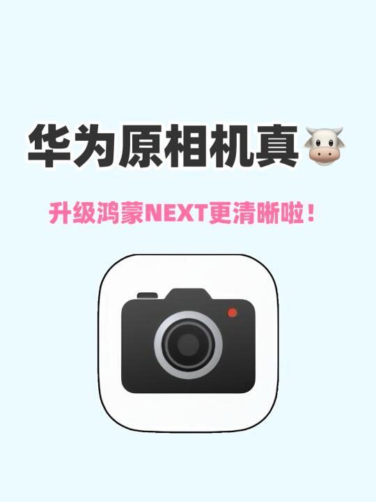 🐮升级鸿蒙NEXT后相机太强啦！