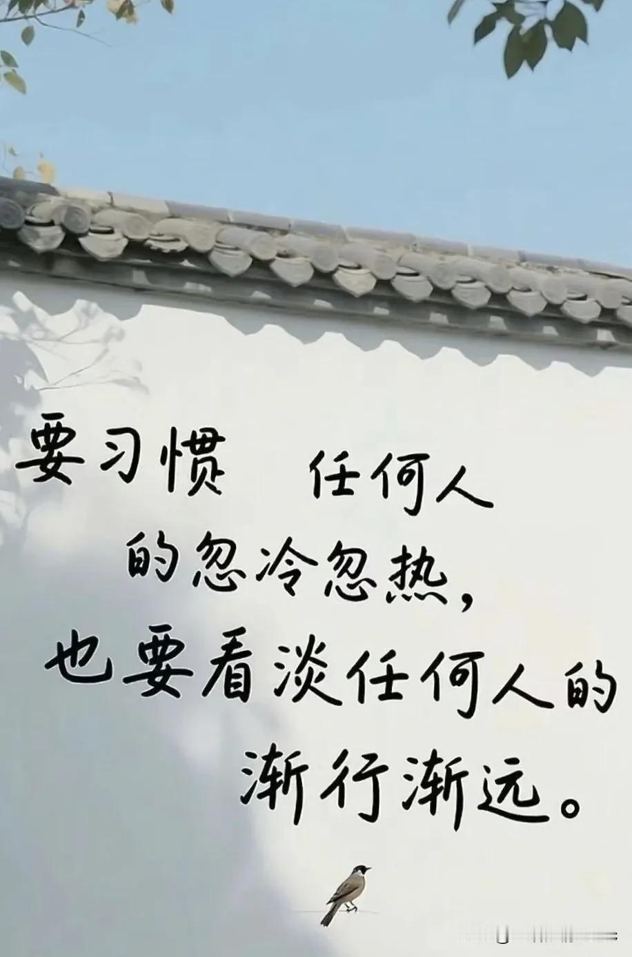 今天从一张照片中，无意看见了他。当年浓密的头发发际线也后移了很多。脸没有变，可是