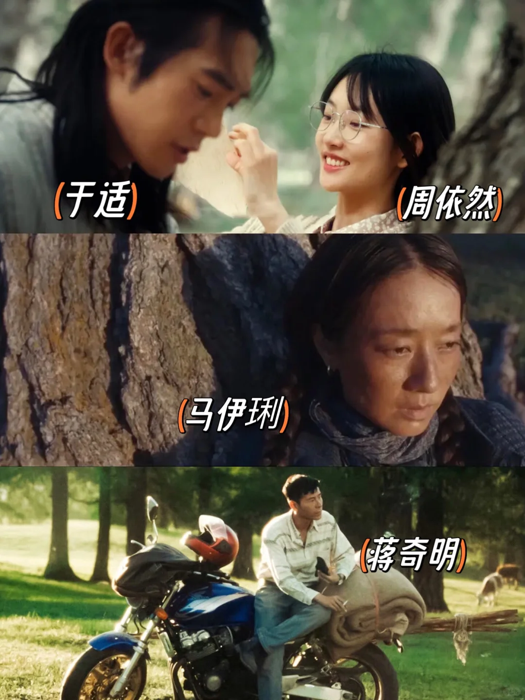 我的阿勒泰导演好会选角，于适蒋奇明都有爆相🔥
	
确实很巧啊，马伊琍、周依然、...