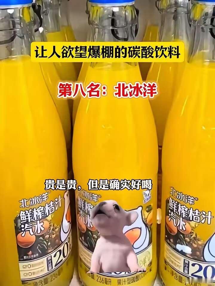 让人欲望爆棚的碳酸饮料。·第八名：北冰洋。贵是贵，但是确实好喝。·第六名：大窟。