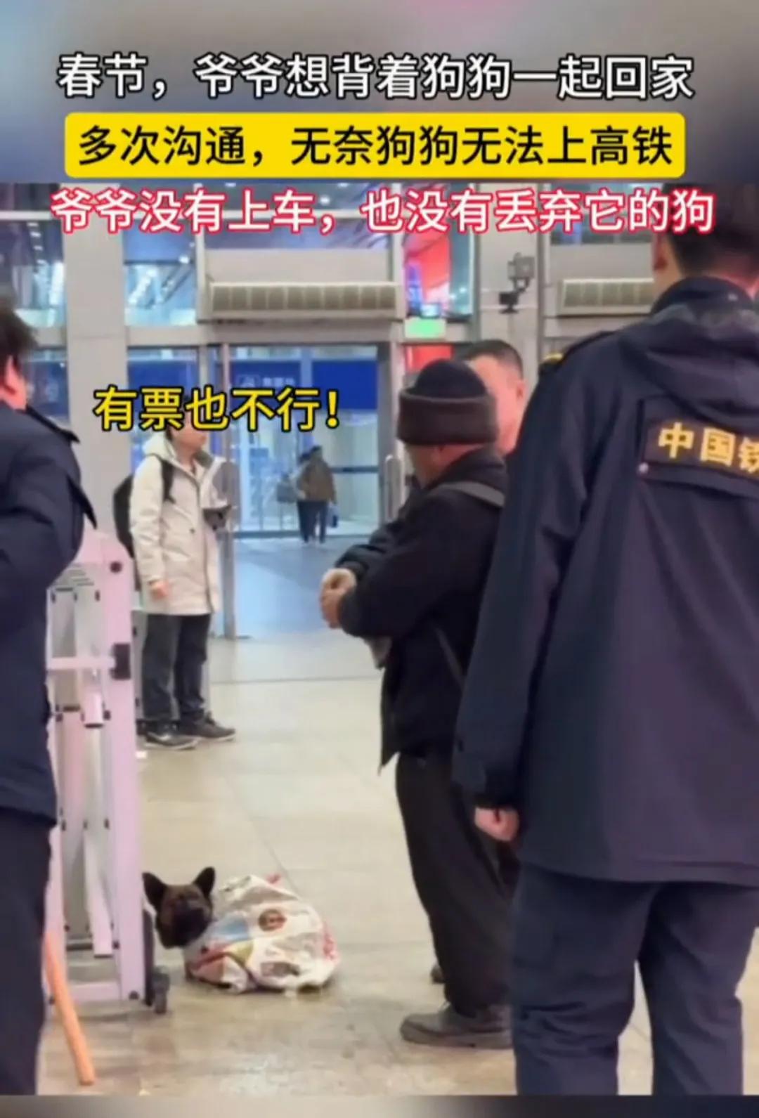 “走，回家，不坐了！”新闻报道10月29日北京一大爷带着小狗坐高铁回家，早上7点