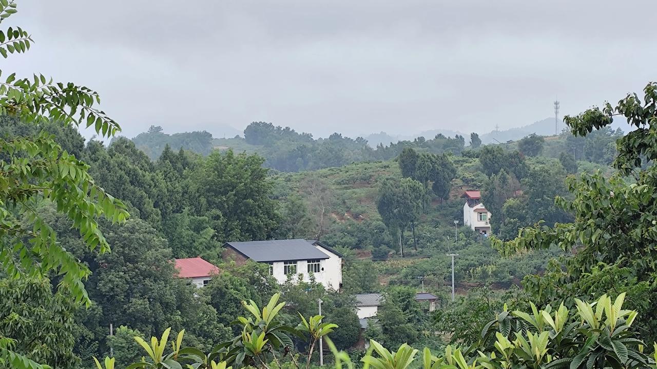 晒图笔记大赛乡村风景欣赏！夏日里被绿植半掩盖的村庄，若隐若现的感觉特别漂亮！夏日
