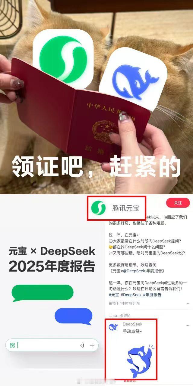 deepseek居然会点赞了 DeepSeek点赞元宝网友：什么时候结婚！！！ 