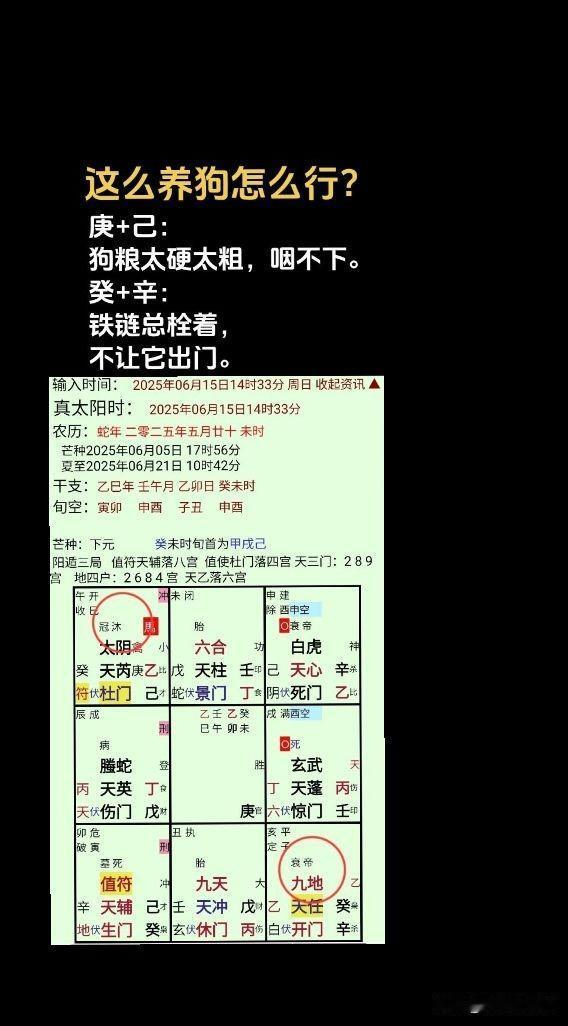 旧故事：朋友质疑自己，是不是不该养狗？