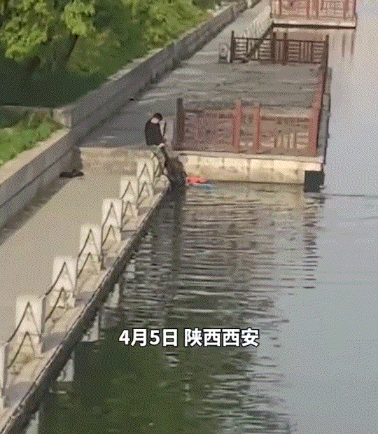 4月5日，陕西西安，一男子不慎落水，路过的一个黄毛小伙和其同伴分工救援，很快便将