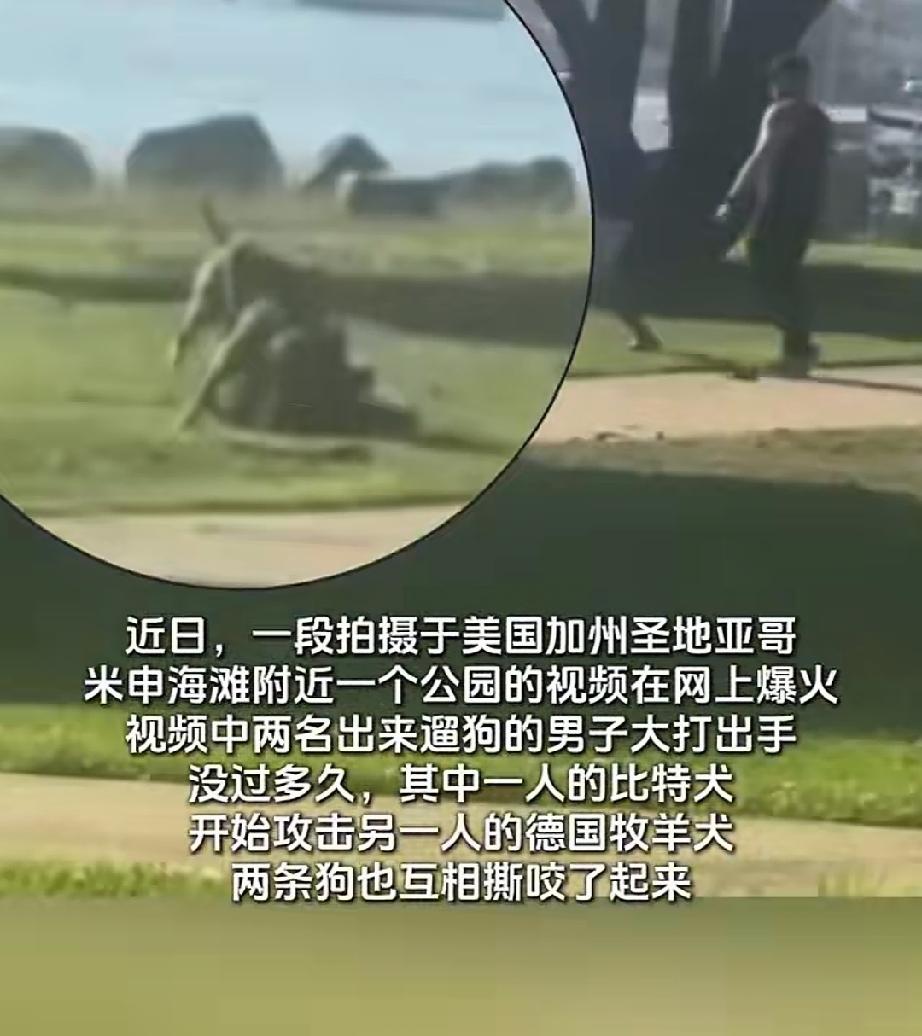 近日，美国加州。两个各自遛狗的男子，在圣地亚哥米申海滩附近的一个公园里相遇。黑衣