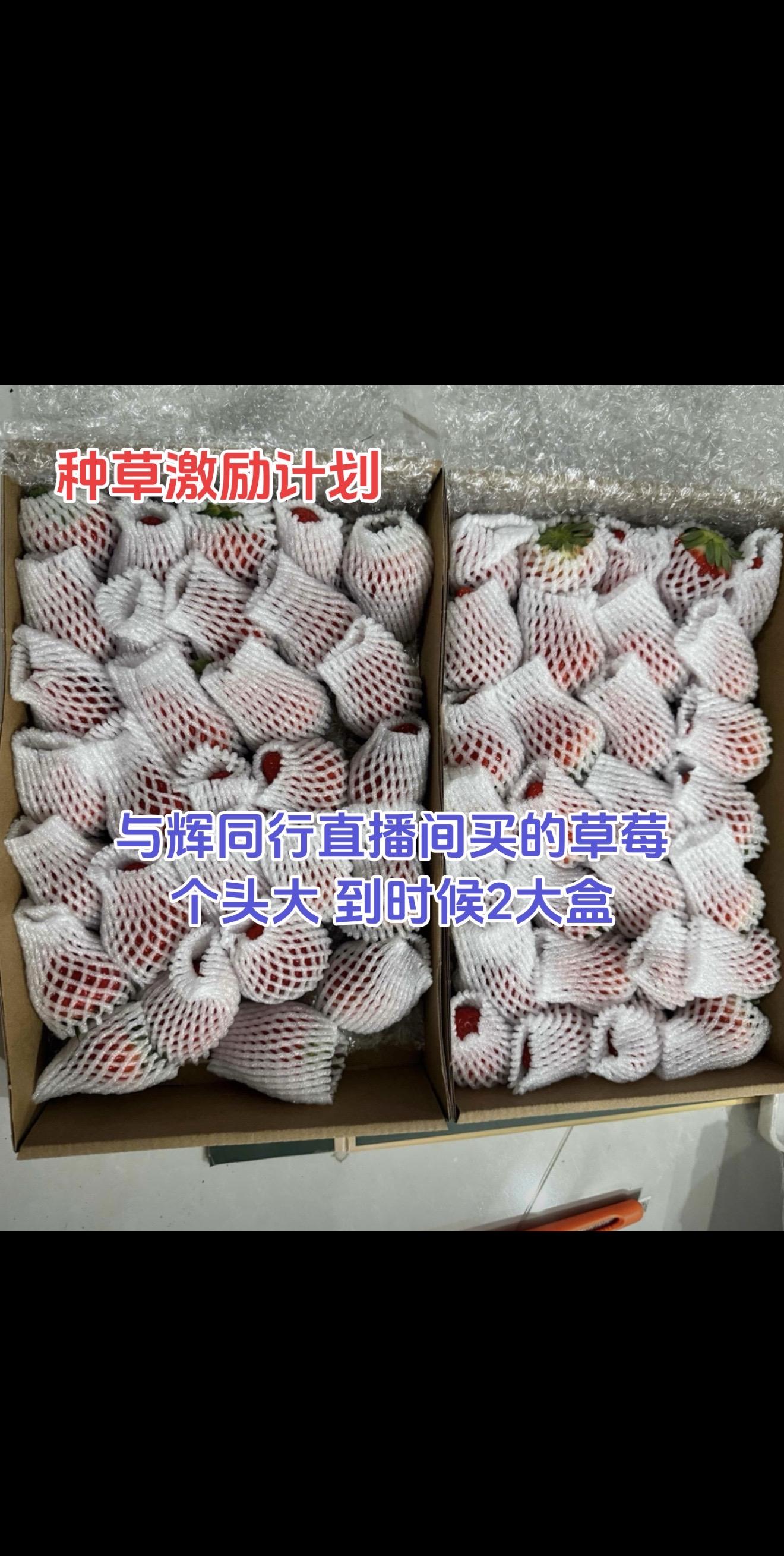 这年头钱不好赚 不能亏了孩子。秋冬季多给孩子吃点草莓