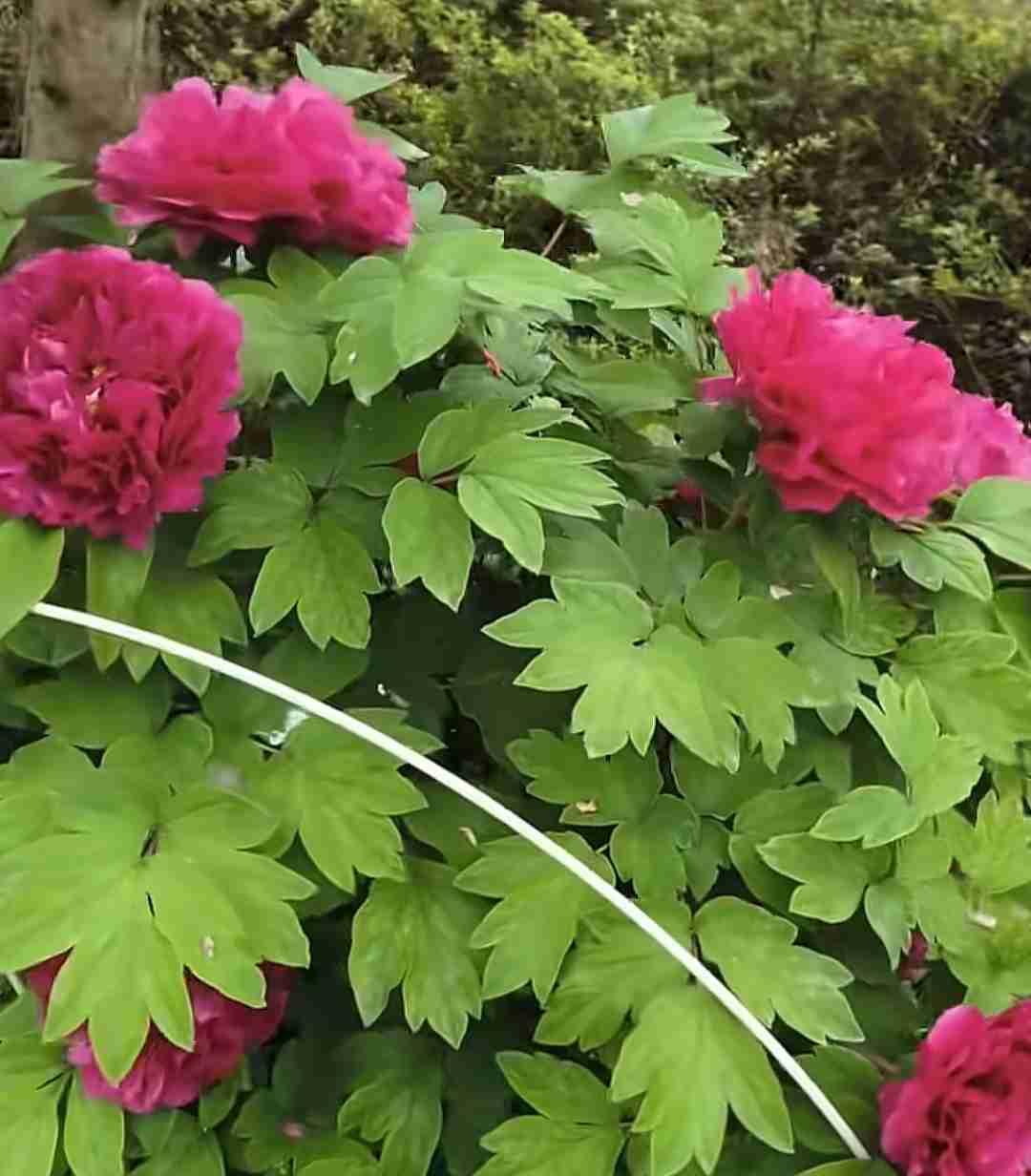 你觉得头条有干净的空间吗？[思考]


答案当然是肯定的，因为大数据算法一般情况