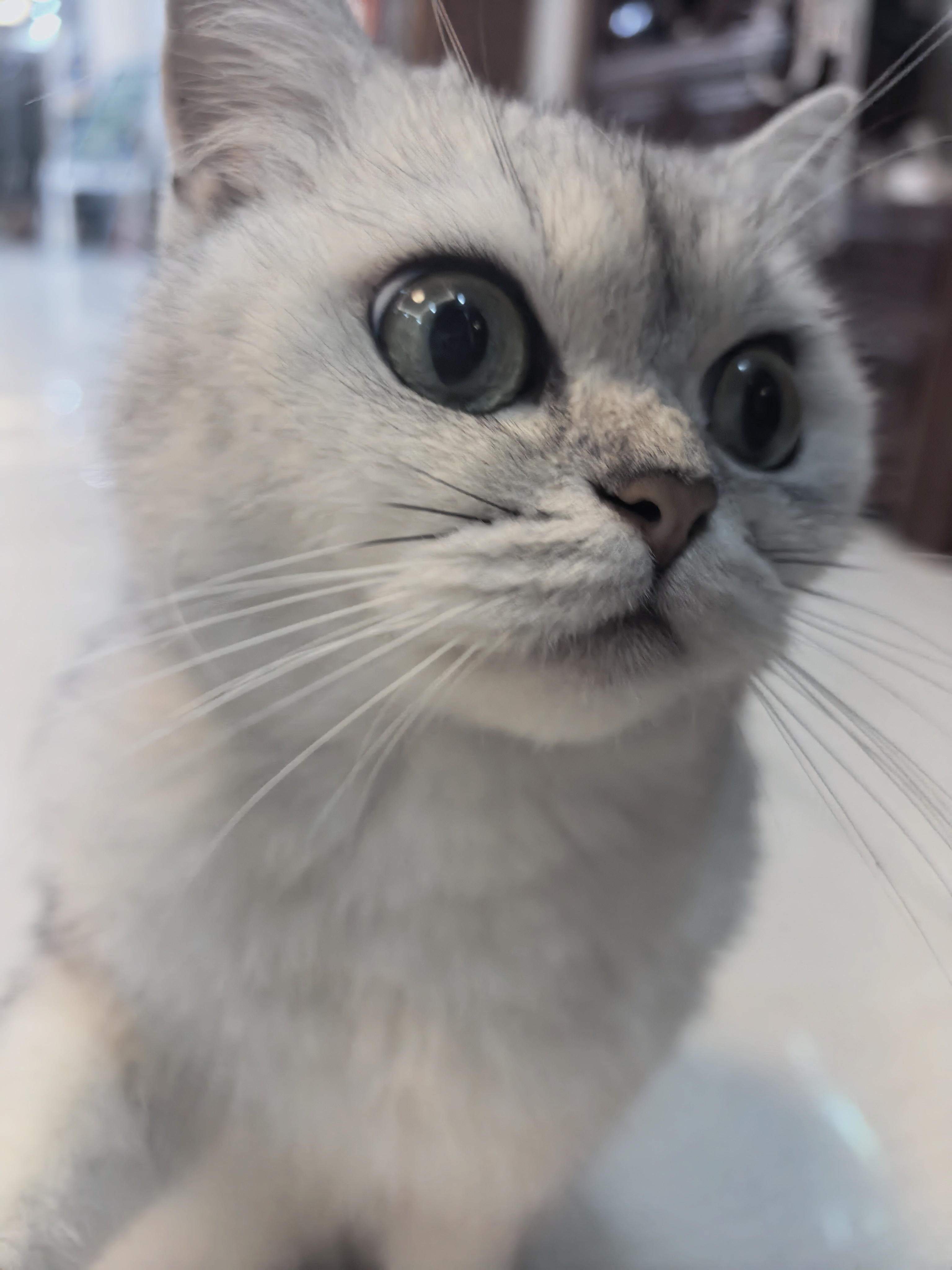 我到家了 