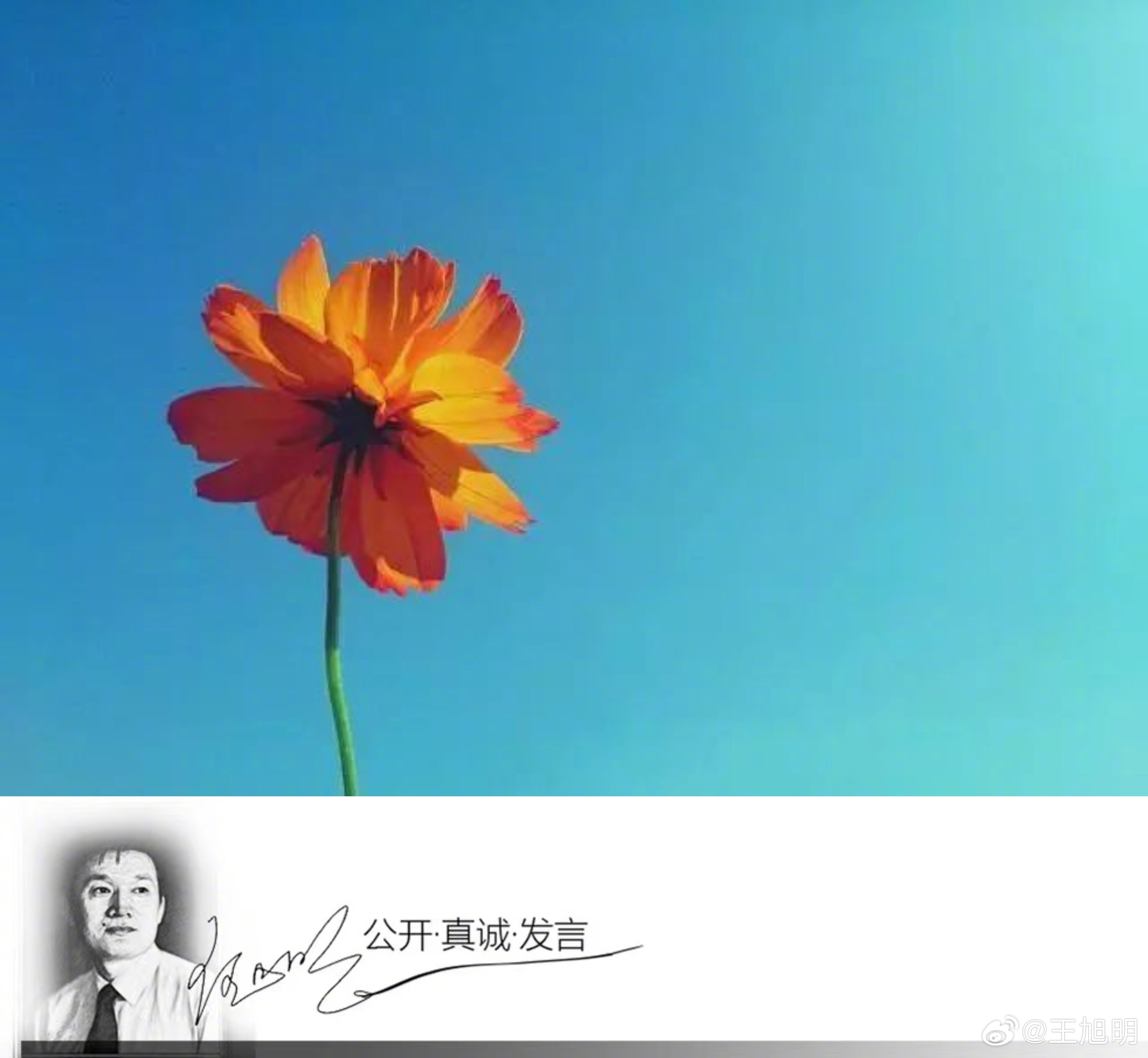#明夜思##胖猫事件# 聊聊爱情。朋友聚，有问我对这件事情的看法。我说什么事儿呀