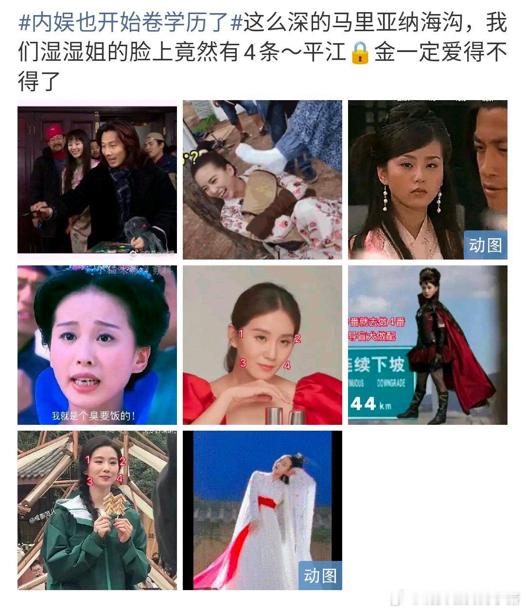 这个 rs 什么情况，怎么都是刘亦菲和刘诗诗粉丝