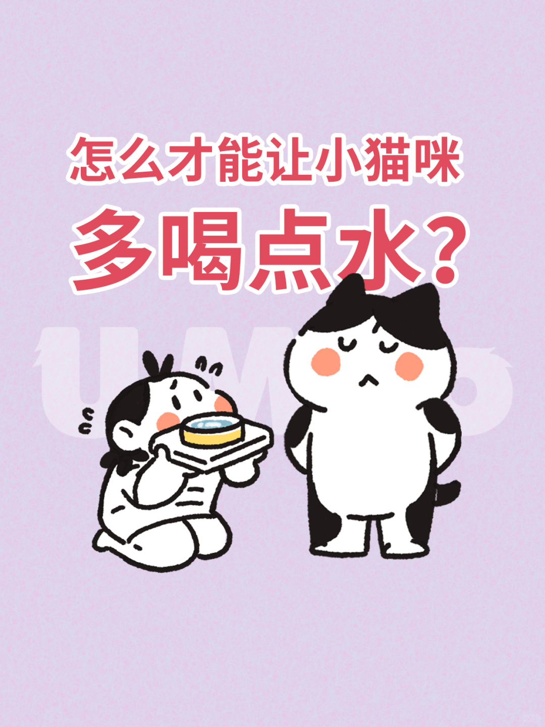 怎么让小猫咪多喝水？答案来了！