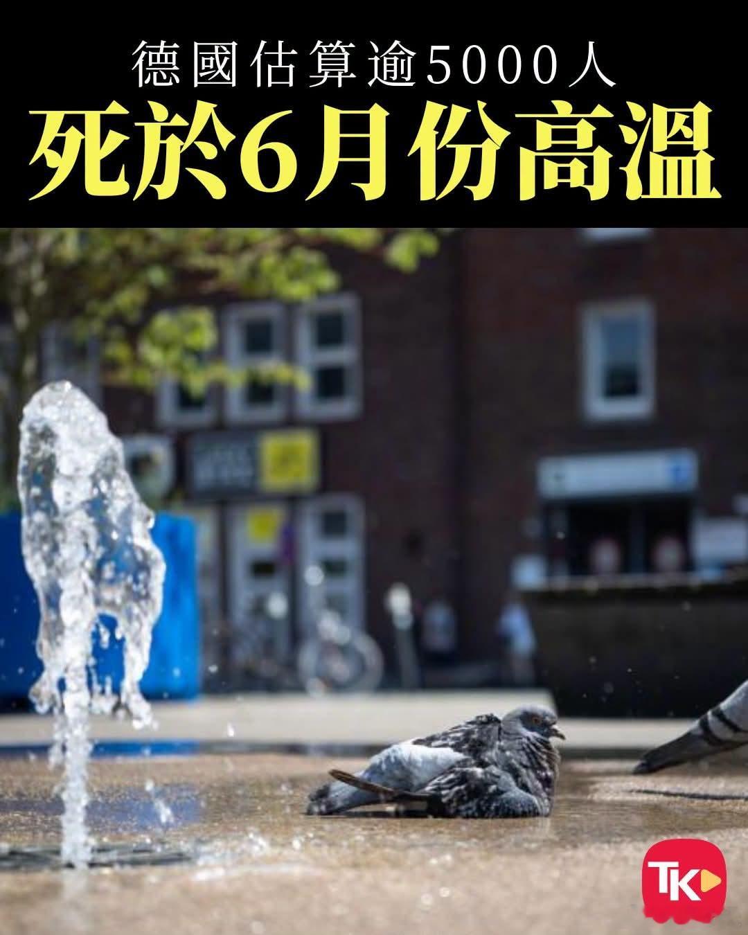 欧洲人羡慕中国冷气，乱港曱甴怒了曱甴辩解道，中国人笑欧洲人没冷气，但系人家每年都